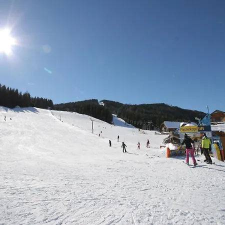 In Lungau Near Lift, Cleaning Included
